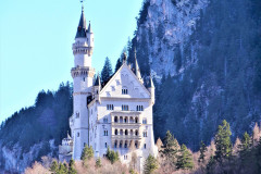 252_reichlmayr