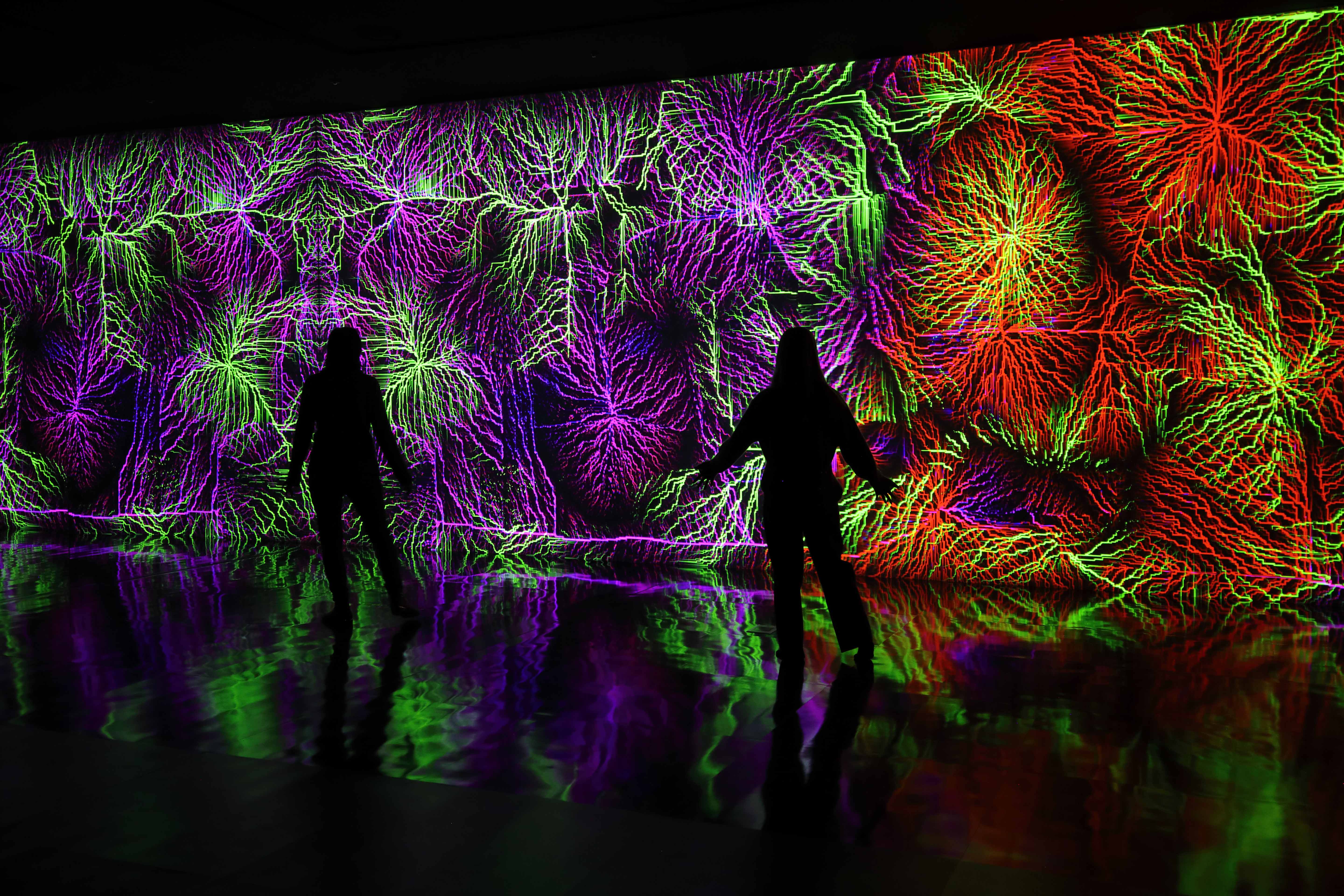 Fractal Arborescences