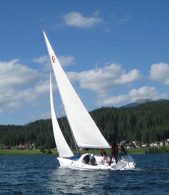 Foto unseres Dozenten / unserer Dozentin