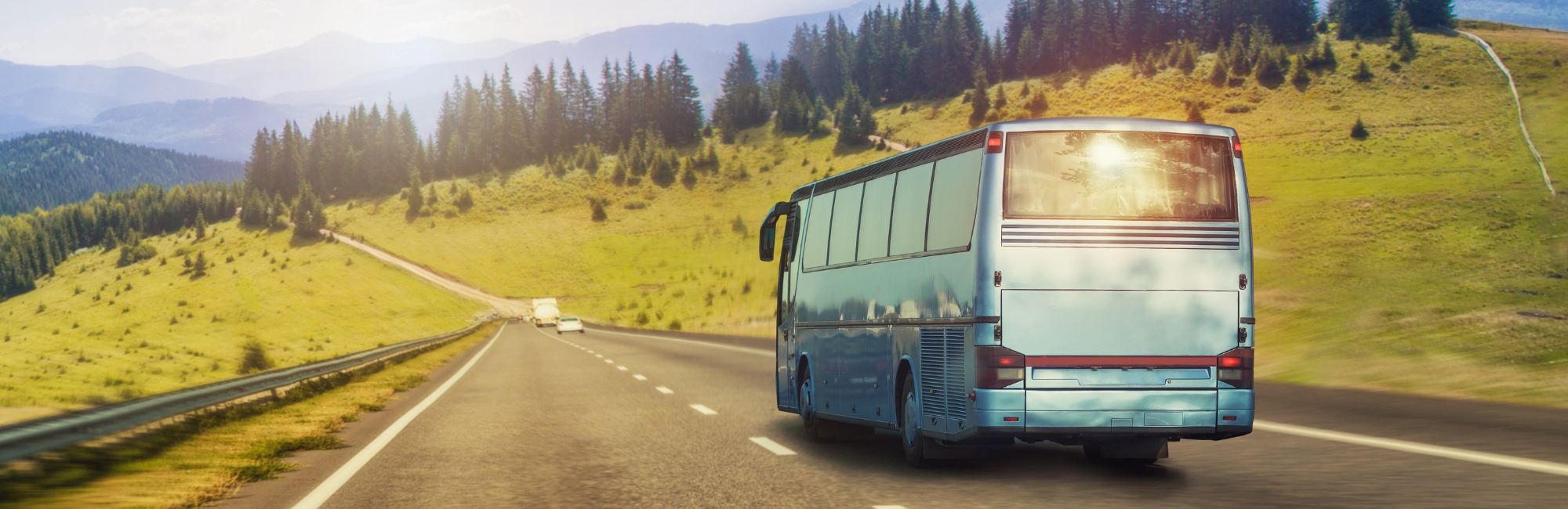 Ein Bus fährt auf einer Landstraße durch eine hügelige, mit Tannen bewachsene Landschaft unter einem leicht bewölkten Himmel und vermittelt Reisefreude und Naturverbundenheit.