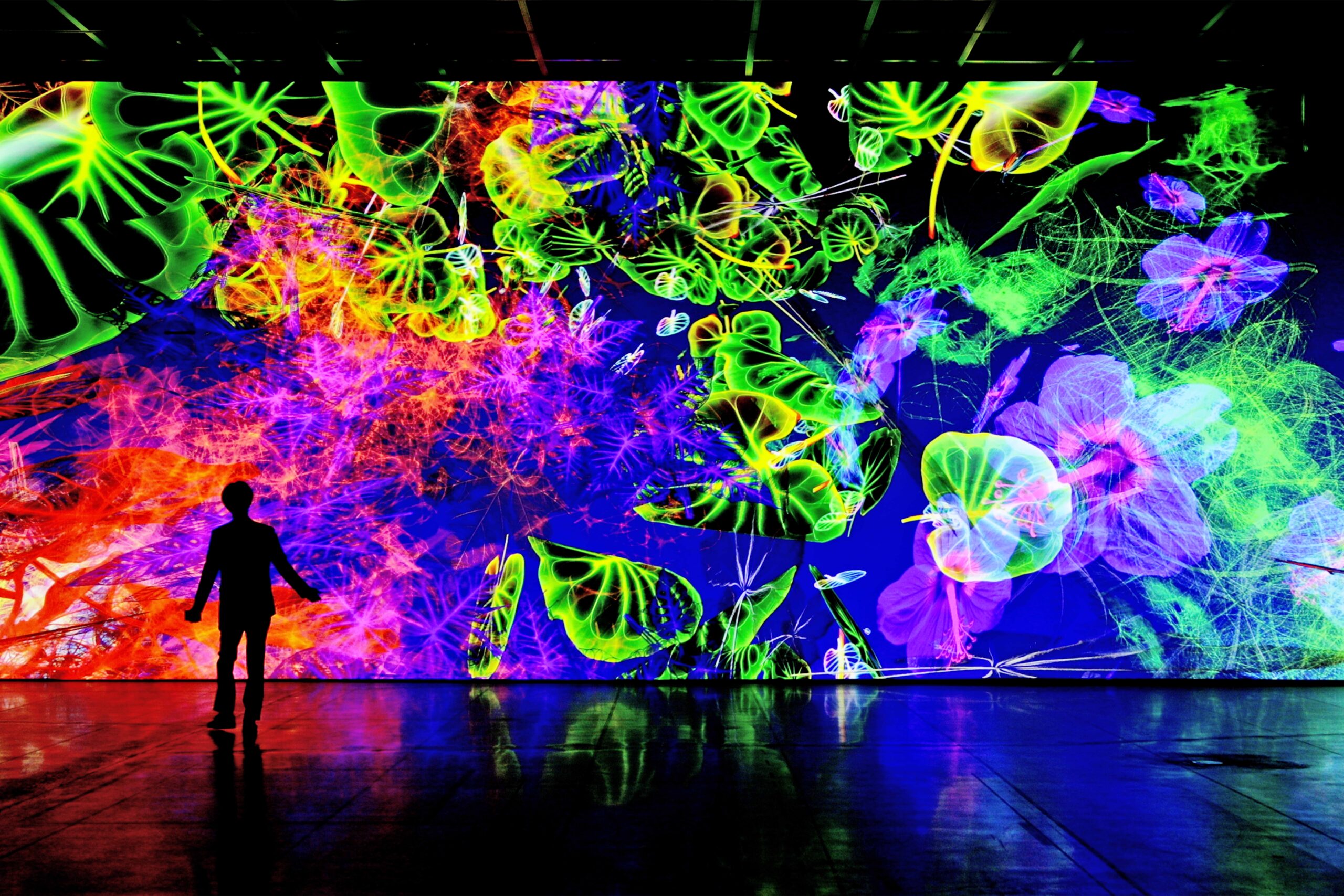 Digital by Nature – Die Kunst von Miguel Chevalier
