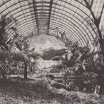 Palmen in der Residenz - Die exotischen Wintergärten Ludwigs II. und Maximilians