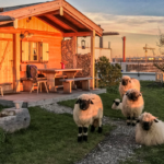 Werksviertel-Mitte – Nachhaltigkeitstour inkl. Stadt-Hochalm - Führung