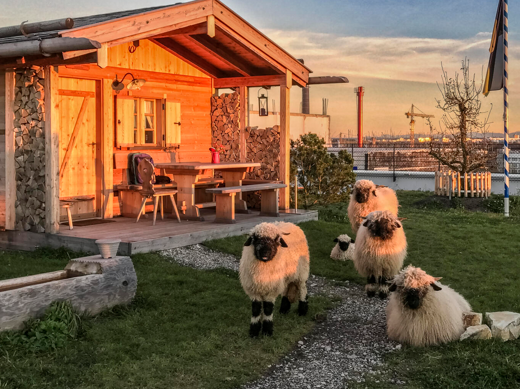 Werksviertel-Mitte – Nachhaltigkeitstour inkl. Stadt-Hochalm - Führung
